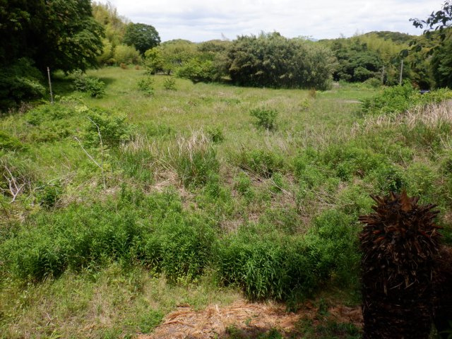 出野尾土地の外観