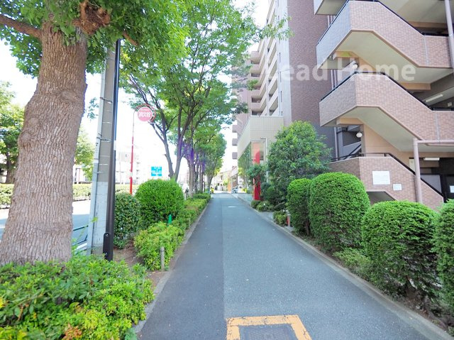 【その他】 | ハイホーム駒沢公園 | 前面道路