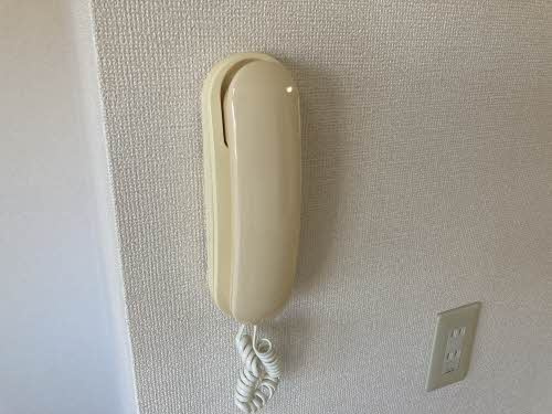 アイリスＣのセキュリティ