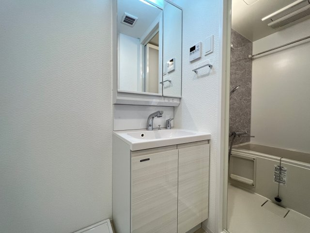 S-RESIDENCE堺筋本町Deuxの独立洗面台