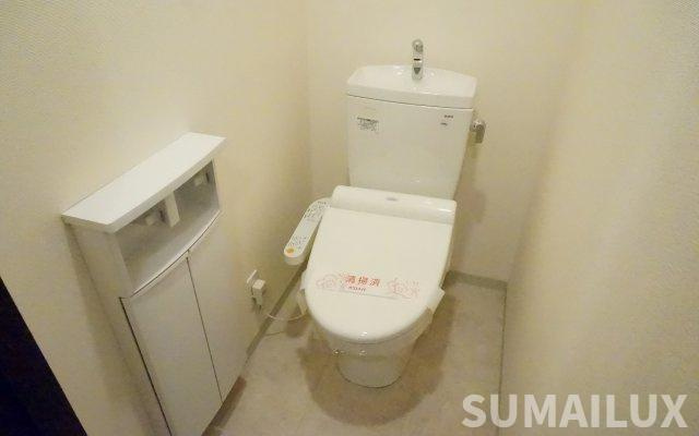熊本市中央区新大江３丁目の賃貸マンションのトイレ