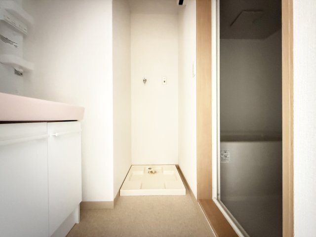 フルールアミーⅢの洗面所