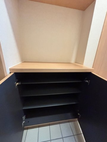 サンシャルマンのその他