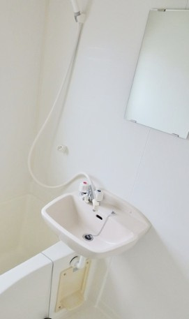 ボヌールの洗面所