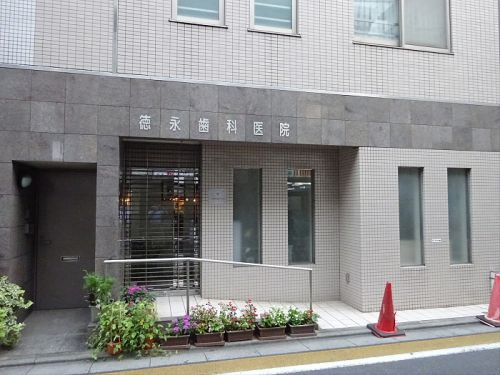 メゾンド学芸大の周辺|【歯科】徳永歯科医院まで252ｍ