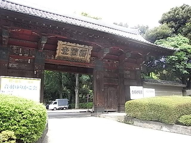 ラティエラ文京音羽の周辺