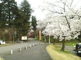 フェリシアの周辺|悠久山公園まで1860m