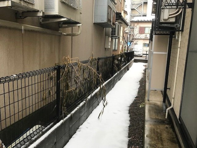 レオパレスＨＡＫＵのその他