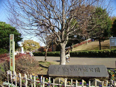ぼうさいの丘公園まで500ｍ