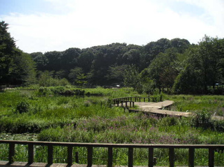 泉の森まで350ｍ