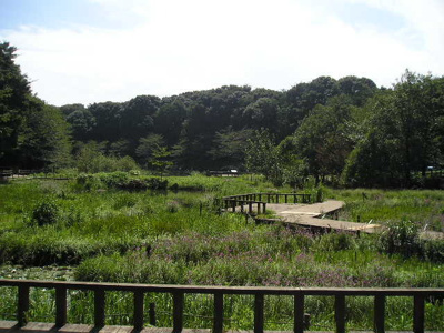 泉の森まで350ｍ