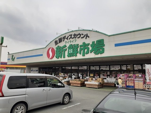 ソレイユⅢの周辺|新鮮市場まで1100m