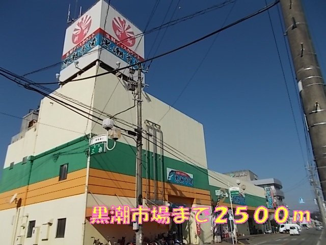 グラースメゾン泗水Ａの周辺|黒潮市場まで2500m