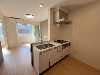 仮）江南市前飛保町　新築アパートのキッチン|システムキッチン（イメージ）