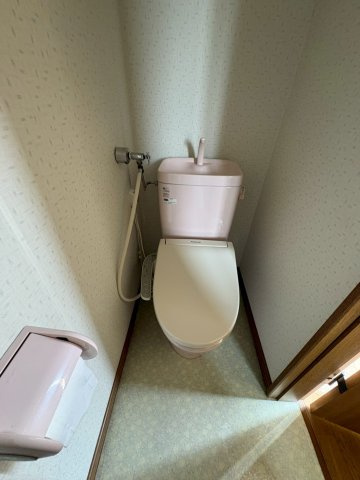 スペース愛国のトイレ