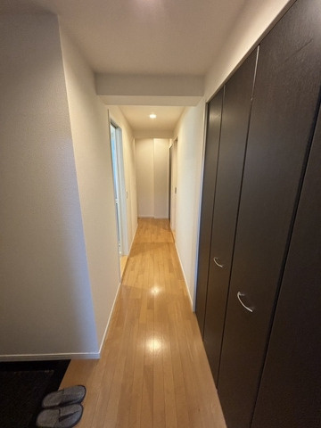 La Luce ynのその他