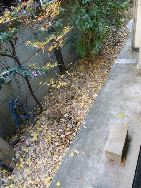 Ｎメゾン学芸大のその他
