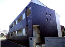 Chamomileの画像