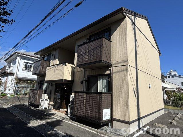 ペニーロイヤルの外観