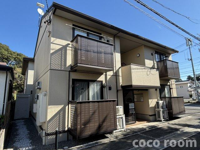 ペニーロイヤルの外観