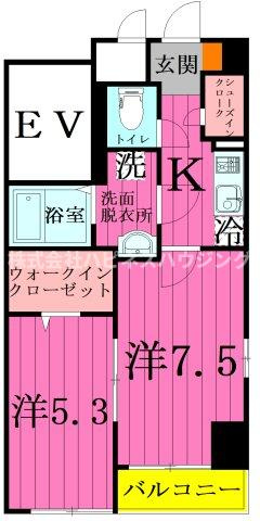 エルザ柏