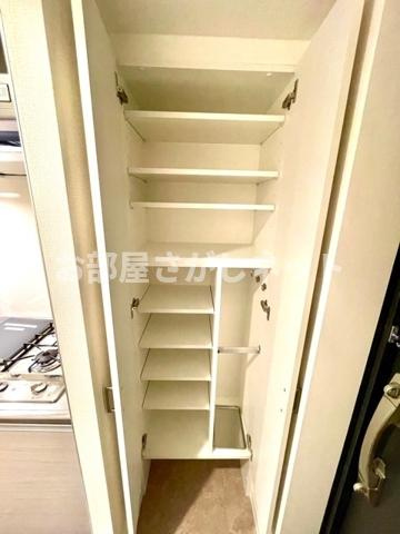 レジディア御茶ノ水Ⅱ【高級賃貸・ブランドマンション】の収納
