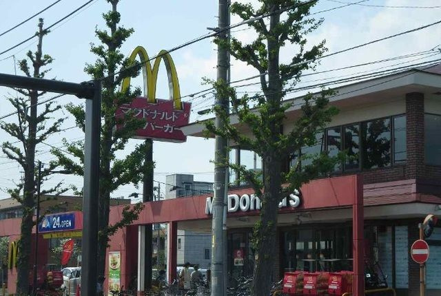 エルスター　クライスのその他