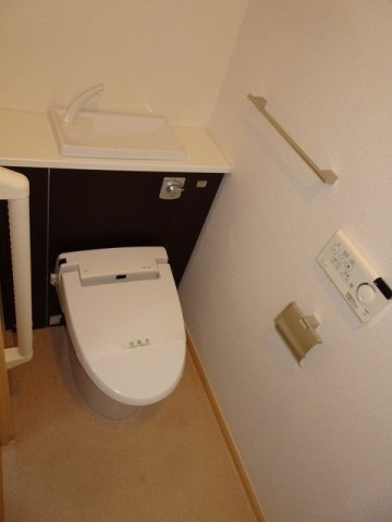 シャインツリー両国のトイレ|落ち着いた色調のトイレです
