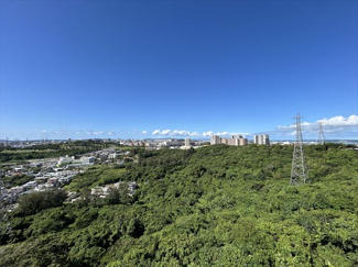  | パラッツォステラ