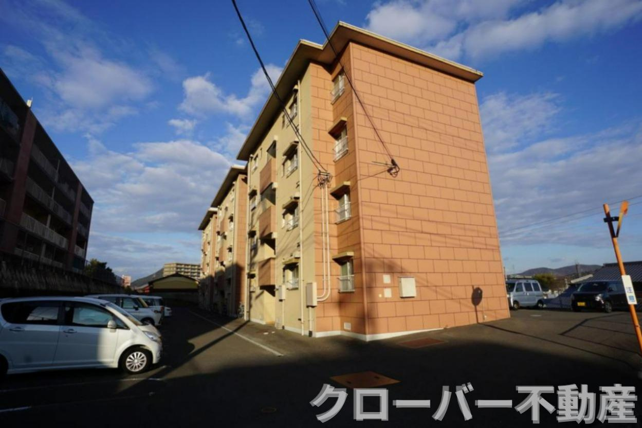 ココモ