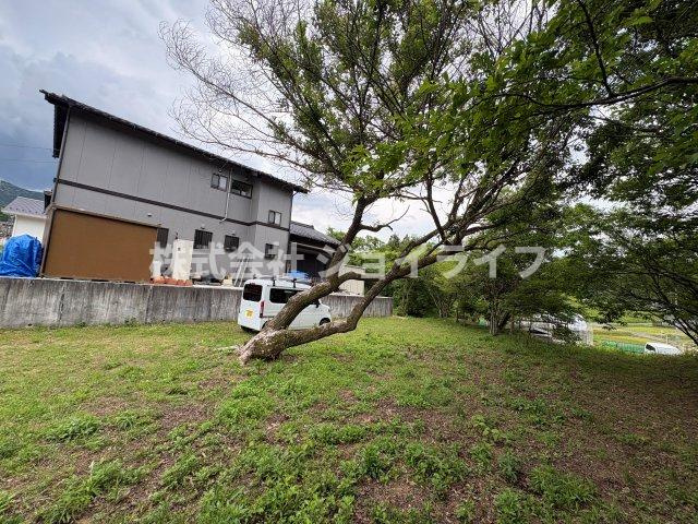 茄子川　青木土地の外観|雑木があります