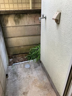 【展望】 | ウィンズベル