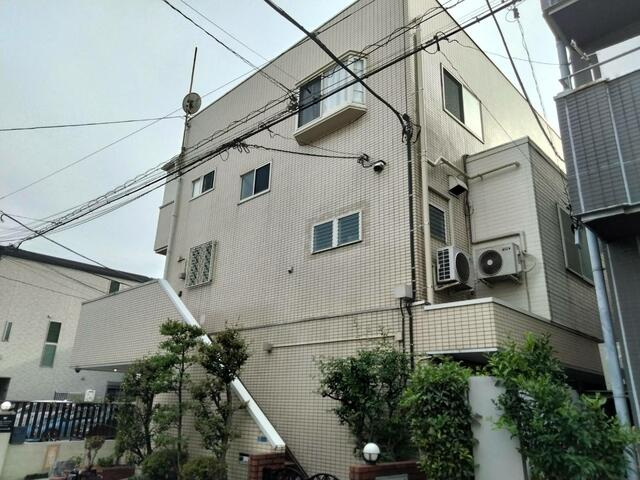 アローニアノムラの画像