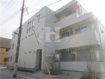 フィカーサいちょうの木の画像