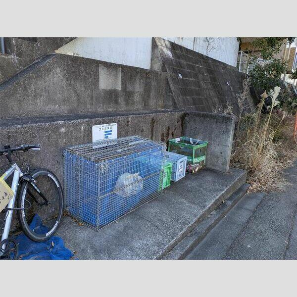 ゴミ捨て場