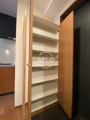 PARKHILLS上本町壱番館の収納|PARKHILLS上本町壱番館　シューズボックス