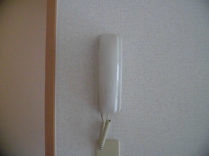 リベリュール富の原Ⅲ棟のセキュリティ