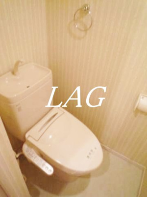 【トイレ】 | カスティーロ武蔵小金井 | トイレです。