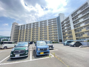 市ドリームハイツ3号棟の画像