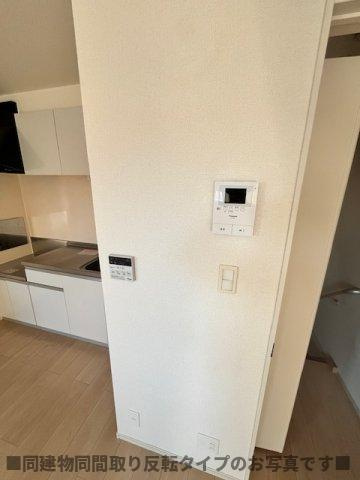 ラシーマカイトのその他