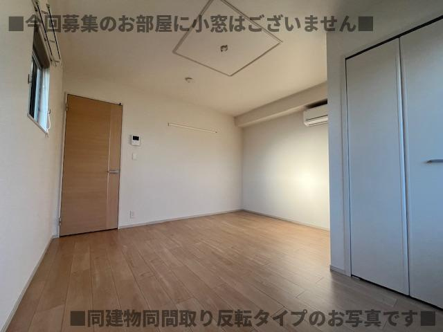 ラシーマカイトのその他