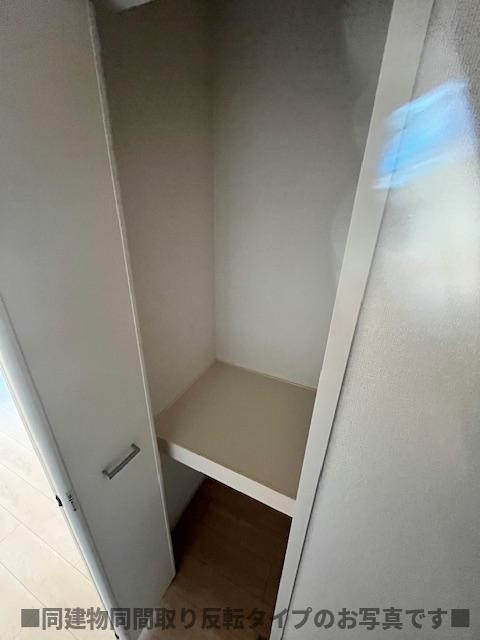 ラシーマカイトのその他
