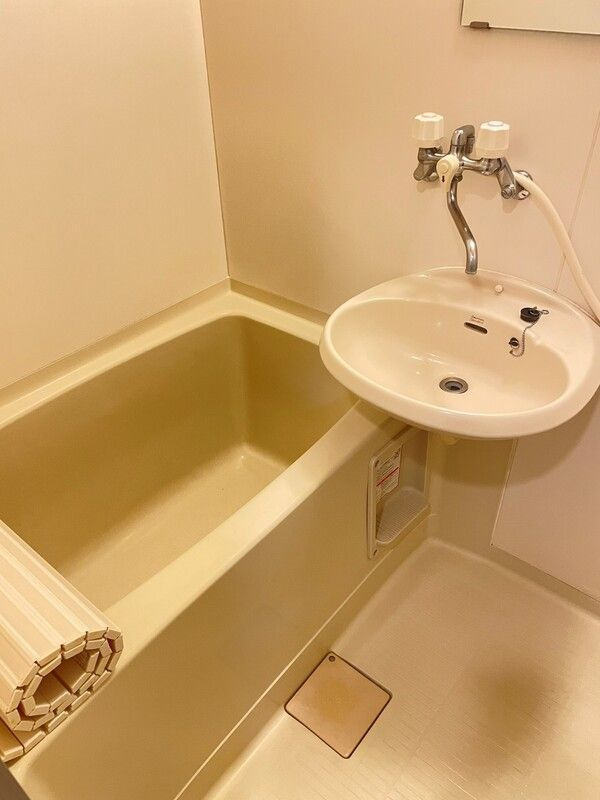 パークプレイス南棟の洗面所