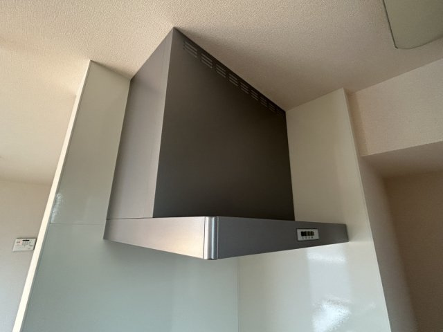 ＤヴェルジェⅤのその他