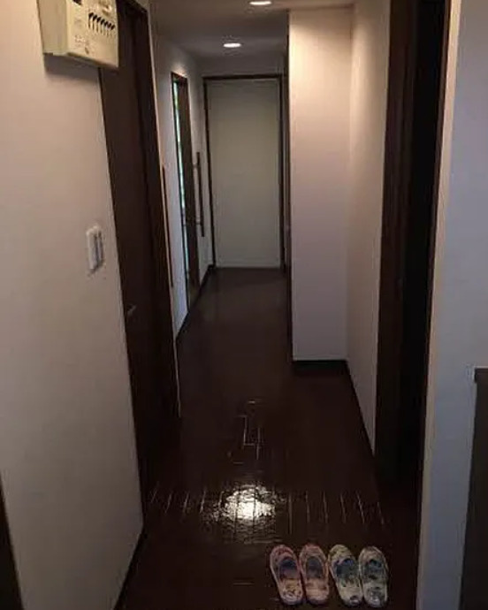 ガーデンシティ大町の玄関