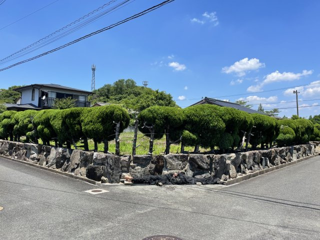 飯塚市柏の森　土地