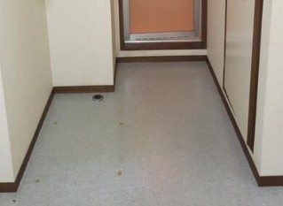 サニーハイツあそうの設備