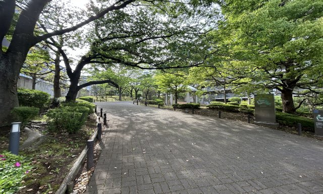 横浜星の丘ビューシテイA棟のその他|隣接地の公園から続く緑豊かな景観が魅力的！