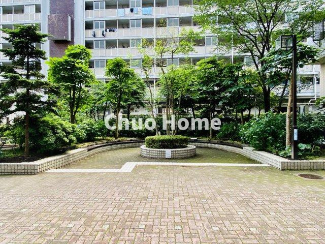 メトロハイツ東陽の現況写真|敷地内には緑が多く住環境良好です