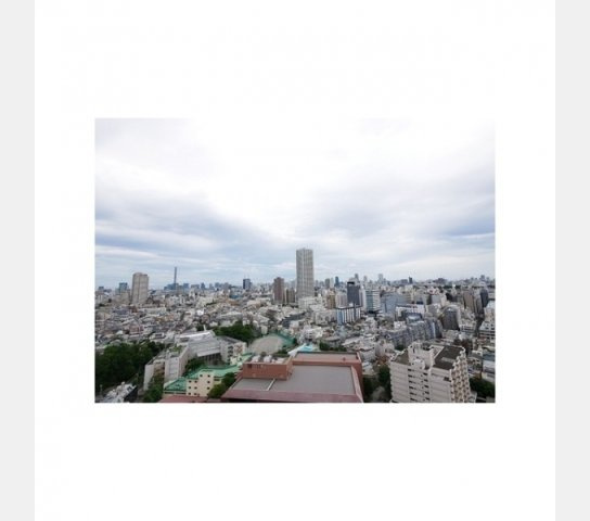 コンフォリア新宿イーストサイドタワーの画像